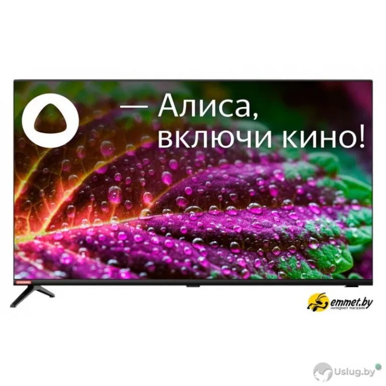 Телевизор StarWind SW-LED32SG300