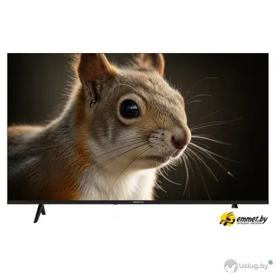 Телевизор Topdevice 43" SALUTE TV TDWC43BF4260V