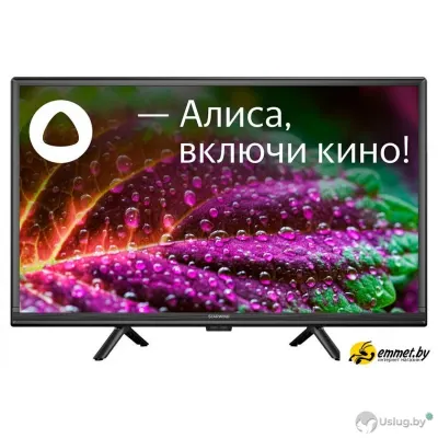 Телевизор StarWind SW-LED24SG304