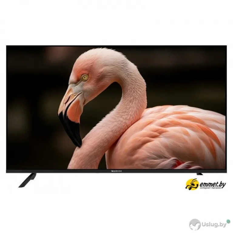 Телевизор Topdevice 43" WILDRED TDWC43BF2110V