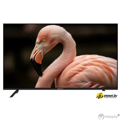 Телевизор Topdevice 43" WILDRED TDWC43BF2110V
