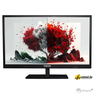 Монитор RDW Computers 2401K/F00В0100V2A1H