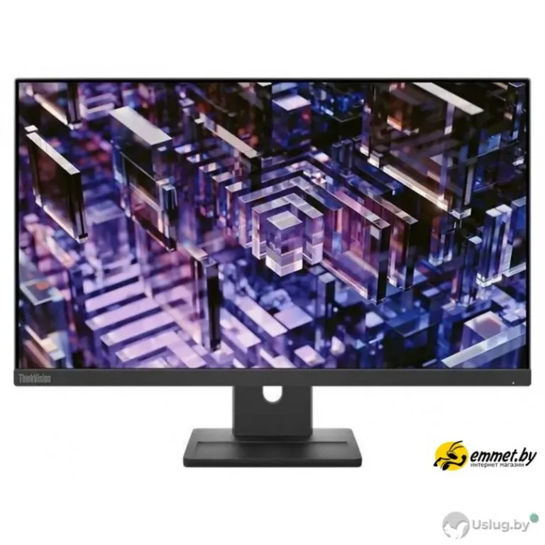 Монитор Lenovo ThinkVision E24q-30 63ECGAT2UK